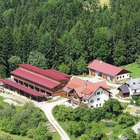 Ferienwohnungen Bauernhof Schilcher Sankt Stefan im Lavanttal Luaran gambar