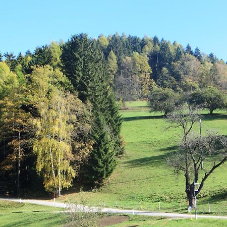 Ferienwohnungen Bauernhof Schilcher Sankt Stefan im Lavanttal Luaran gambar