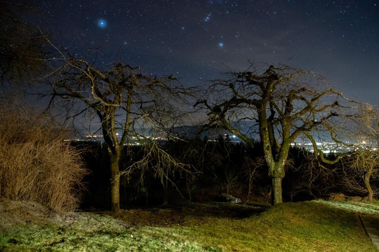 Ferienwohnungen Bauernhof Schilcher Sankt Stefan im Lavanttal Luaran gambar