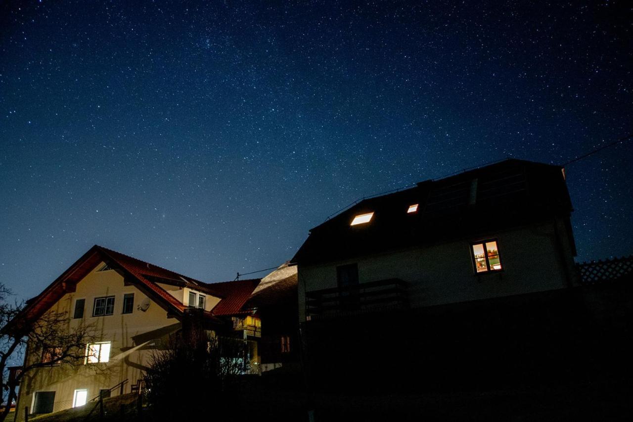 Ferienwohnungen Bauernhof Schilcher Sankt Stefan im Lavanttal Luaran gambar
