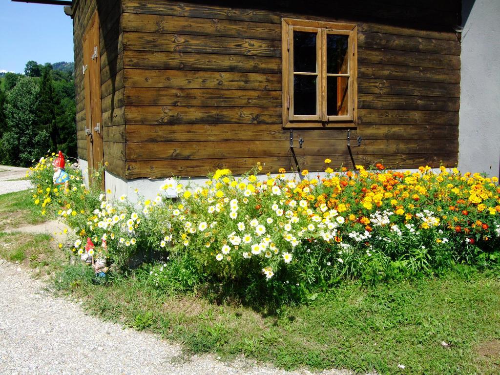 Ferienwohnungen Bauernhof Schilcher Sankt Stefan im Lavanttal Luaran gambar
