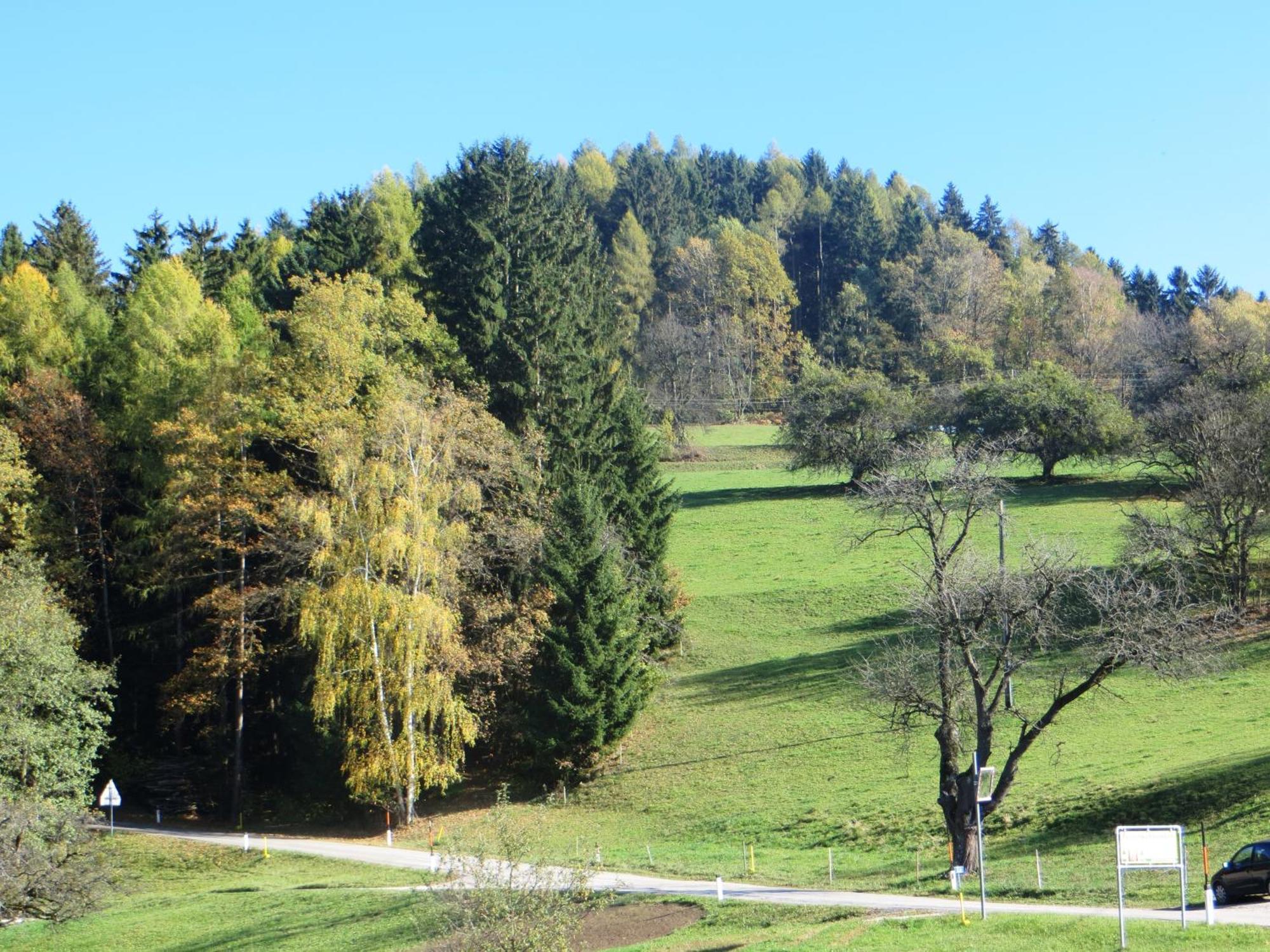Ferienwohnungen Bauernhof Schilcher Sankt Stefan im Lavanttal Luaran gambar