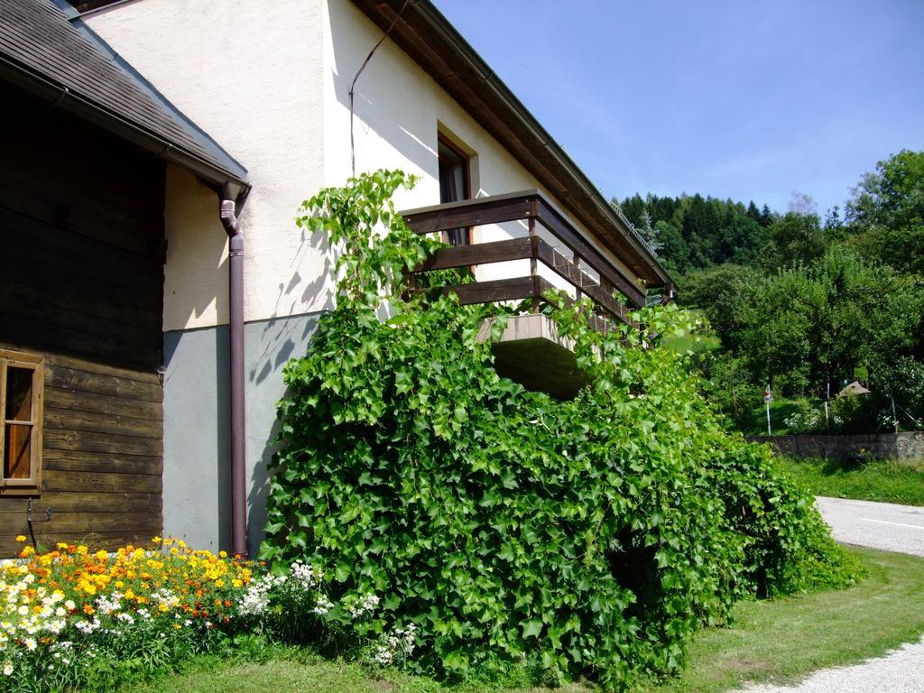 Ferienwohnungen Bauernhof Schilcher Sankt Stefan im Lavanttal Luaran gambar