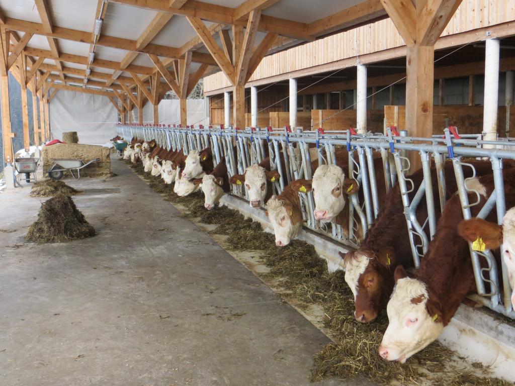 Ferienwohnungen Bauernhof Schilcher Sankt Stefan im Lavanttal Luaran gambar