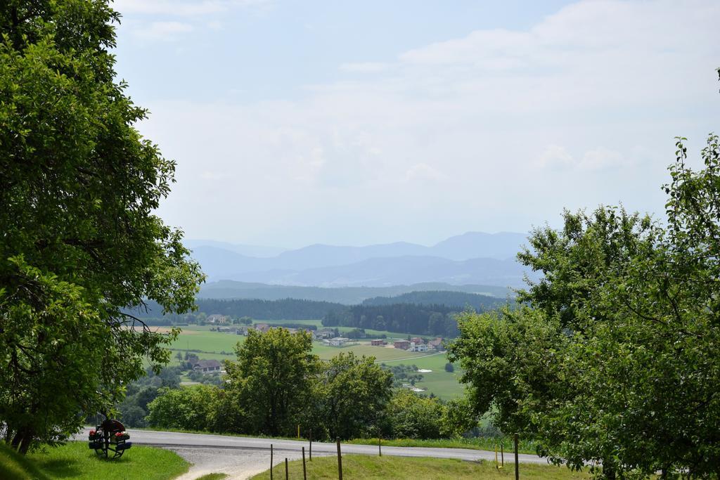 Ferienwohnungen Bauernhof Schilcher Sankt Stefan im Lavanttal Luaran gambar