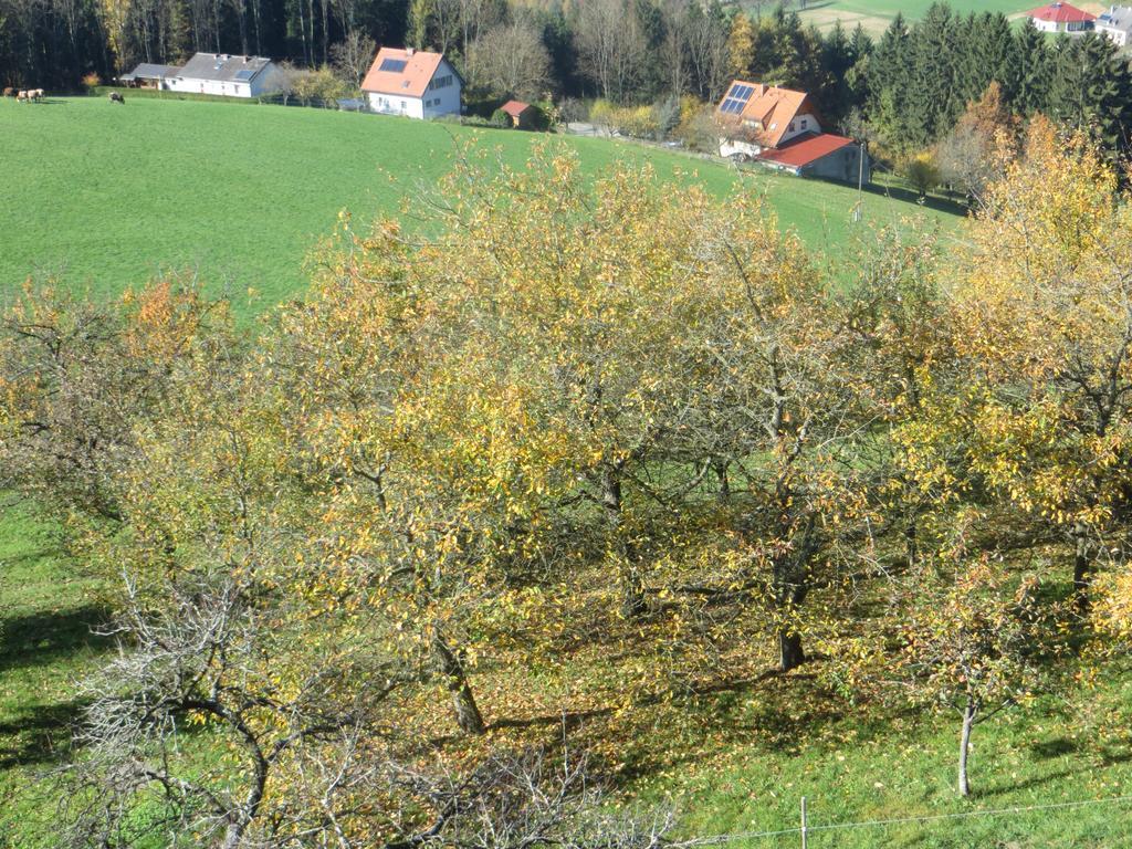 Ferienwohnungen Bauernhof Schilcher Sankt Stefan im Lavanttal Luaran gambar