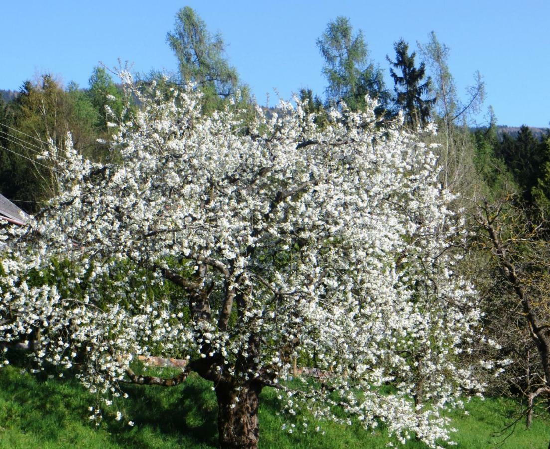 Ferienwohnungen Bauernhof Schilcher Sankt Stefan im Lavanttal Luaran gambar
