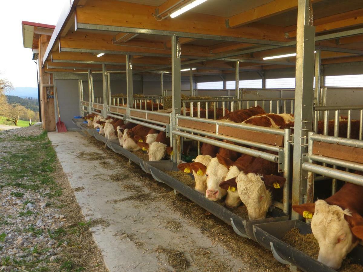 Ferienwohnungen Bauernhof Schilcher Sankt Stefan im Lavanttal Luaran gambar